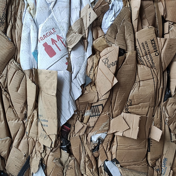 Ritiro-smaltimento-cartone-carpi-correggio